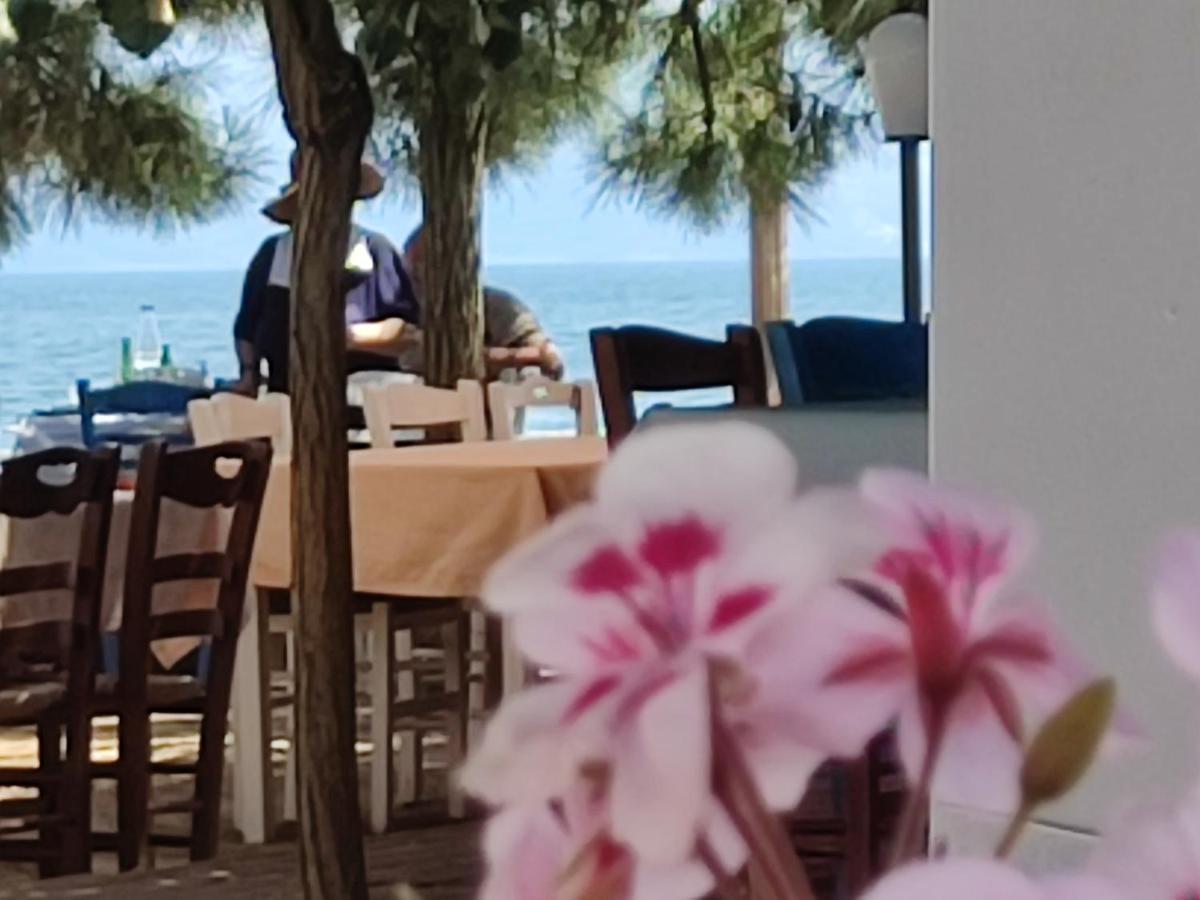 Sand And Sea 1 Νέα Καρβάλη Εξωτερικό φωτογραφία